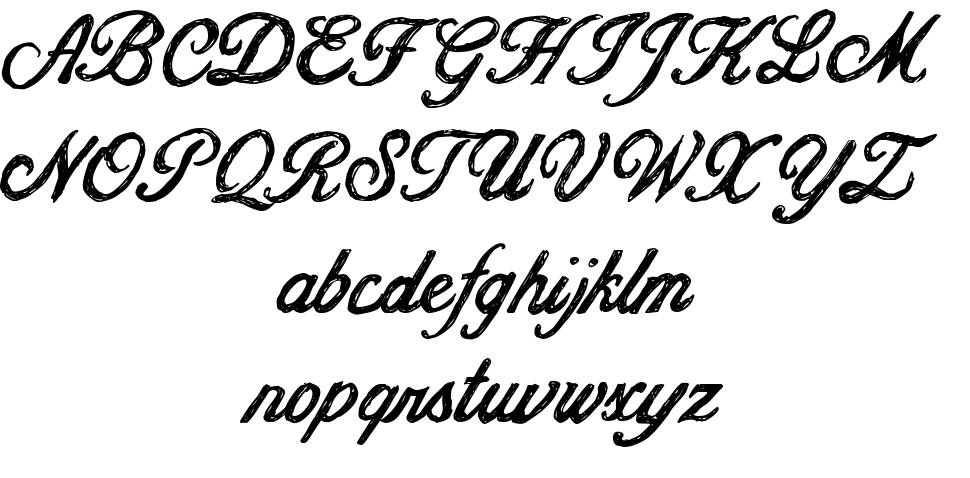 CF Jacques Cartier 字形 标本