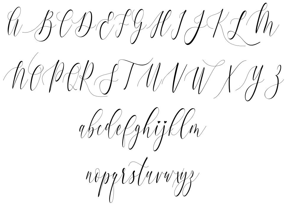 Charlotte Calligraphy font specimens