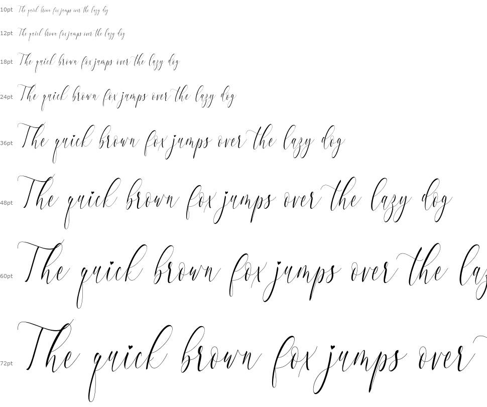 Charlotte Calligraphy font Şelale