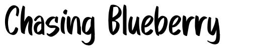 Chasing Blueberry font