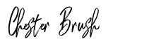 Chester Brush fonte