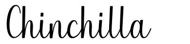 Chinchilla font