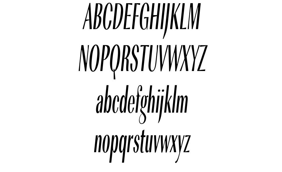 Citta Novela font specimens