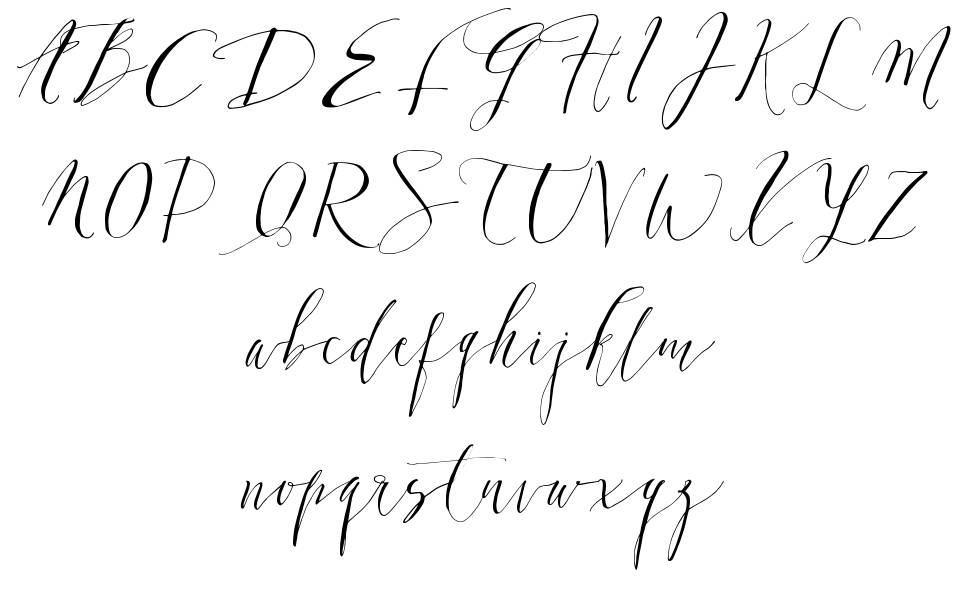 Dearly Script font specimens