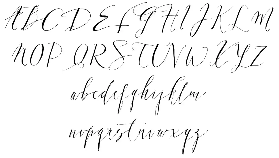 Dearly Scriptfont specimens