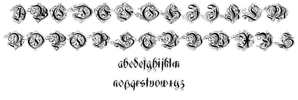 Decadentia 字形 标本