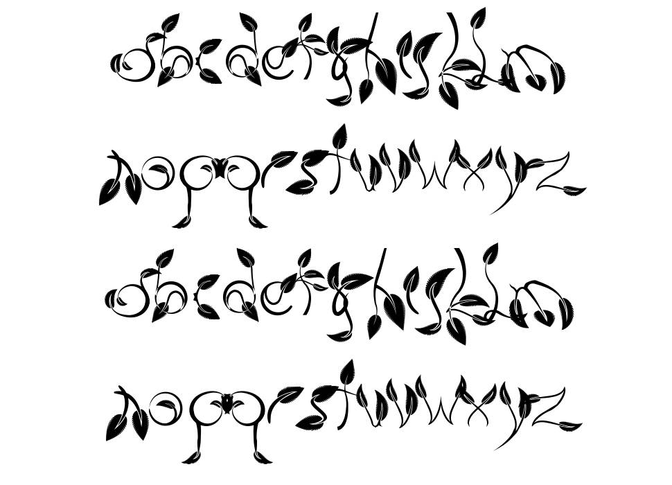 Dedaun 字形 标本