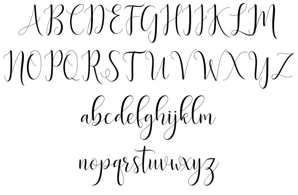 Delight Script font specimens