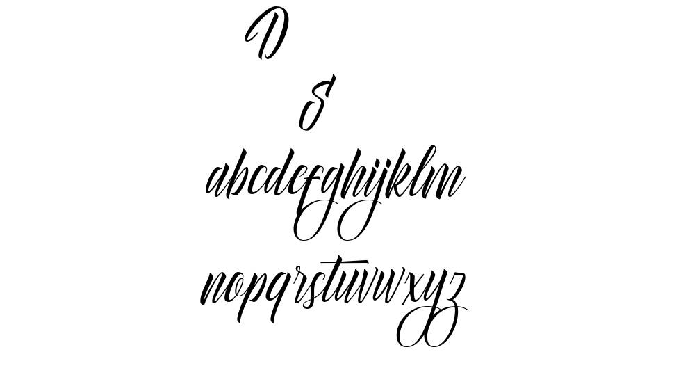 Delphin Spring 字形 标本