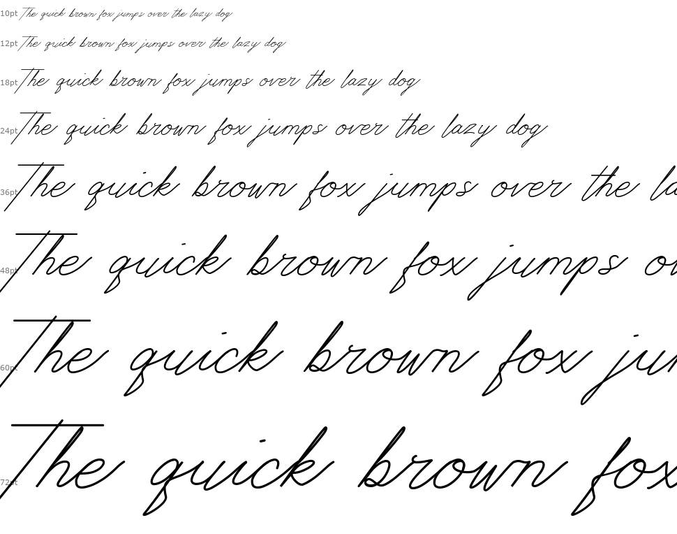 Digital Signature font by Ali Hamidi FontRiver