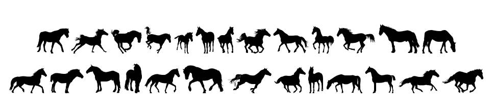 DJ Horses 1 fonte Espécimes