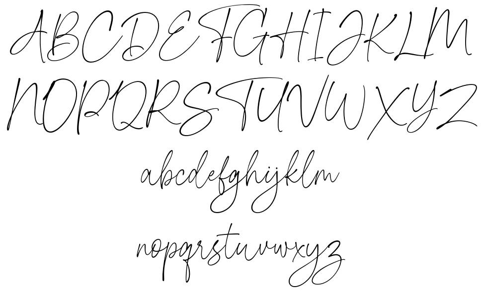 Domestic Script フォント 標本