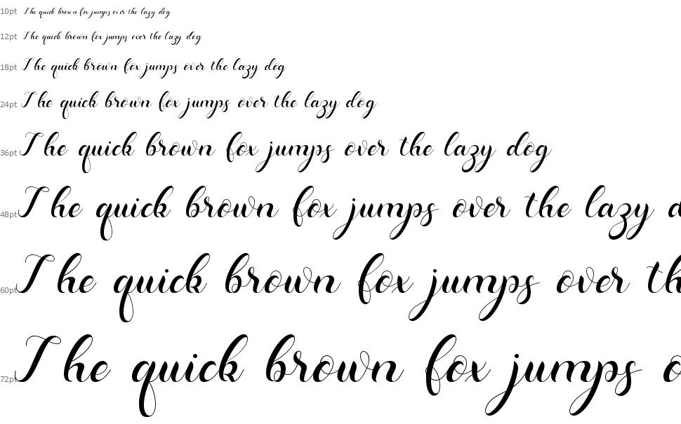 Dominica Calligraphy font Waterfall