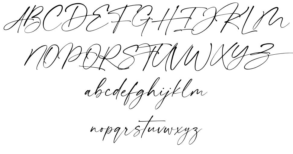 Donitta font specimens