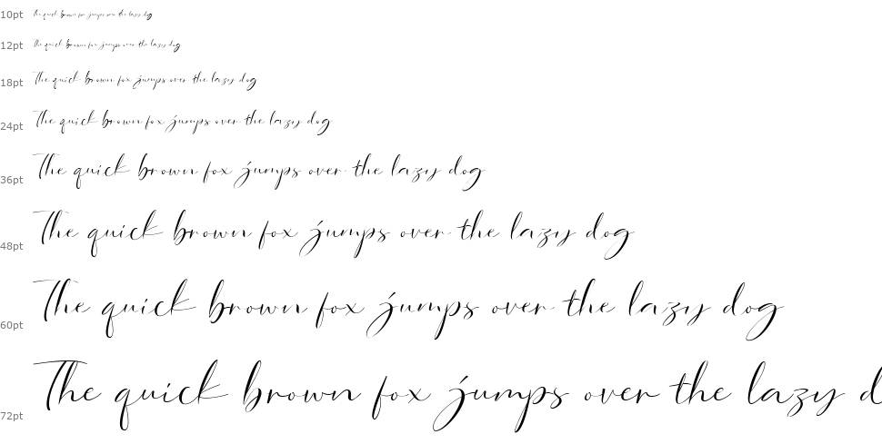 Dorothy Clark Script шрифт Водопад