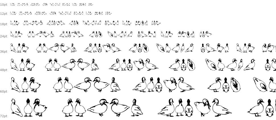 Duck шрифт Водопад