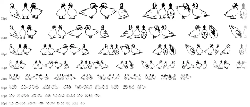 Duck font by Vladimir Nikolic | FontRiver