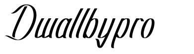 Dwallbypro font