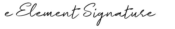 e Element Signature шрифт