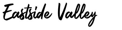 Eastside Valley font