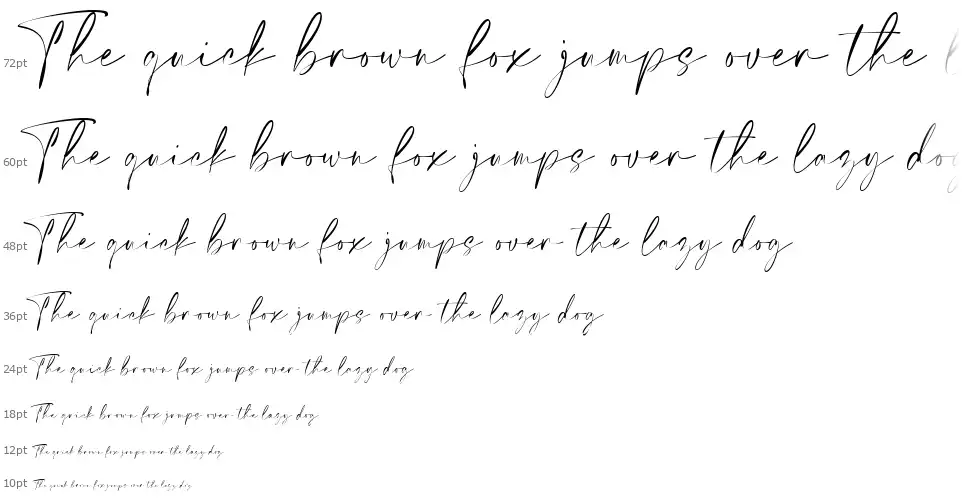 Elegant Signature font Waterfall