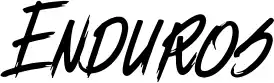 Enduros font