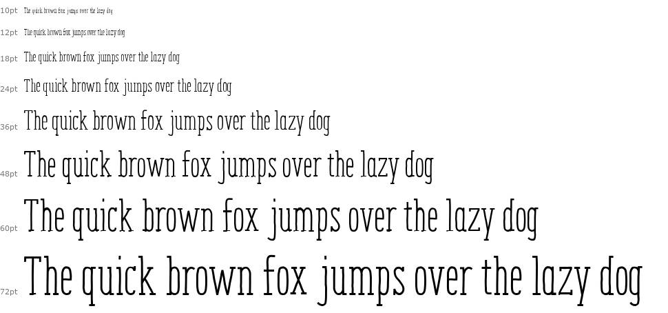 ENYO Serif font Şelale