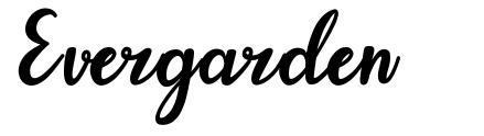 Evergarden шрифт