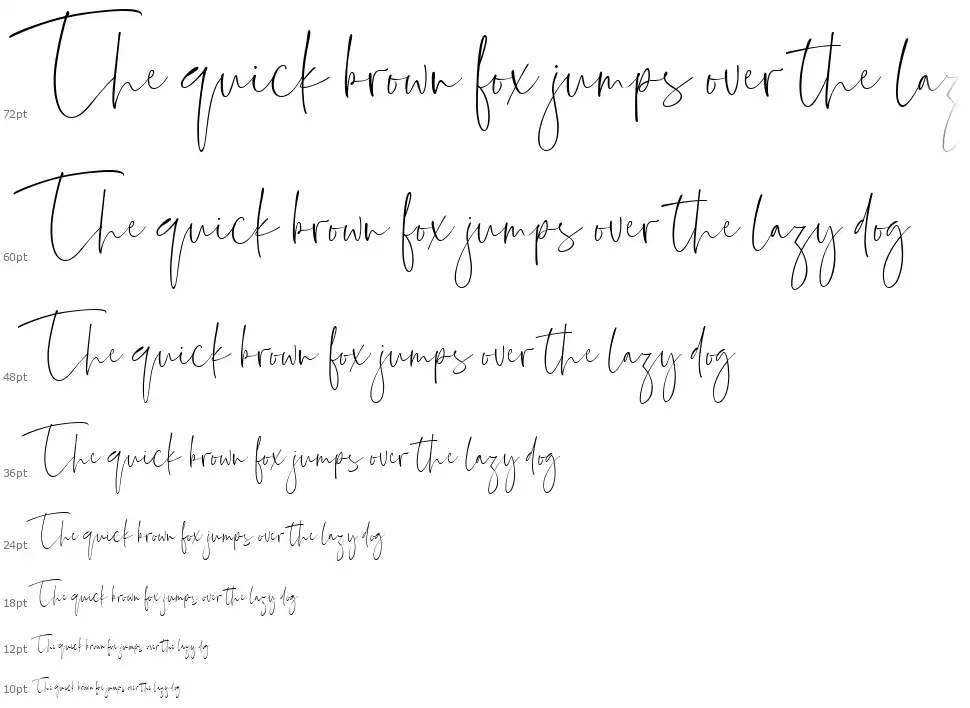 Everleigh Signature Scriptfont waterfall