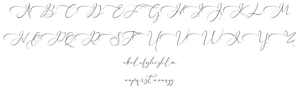 Everything Calligraphy font specimens