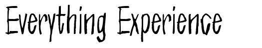 Everything Experience font