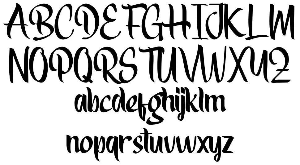 Expect Nothing font by VinType | FontRiver