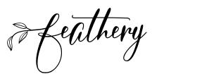 Feathery font