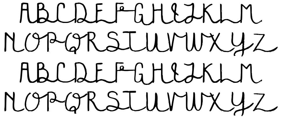 Festivala 字形 标本