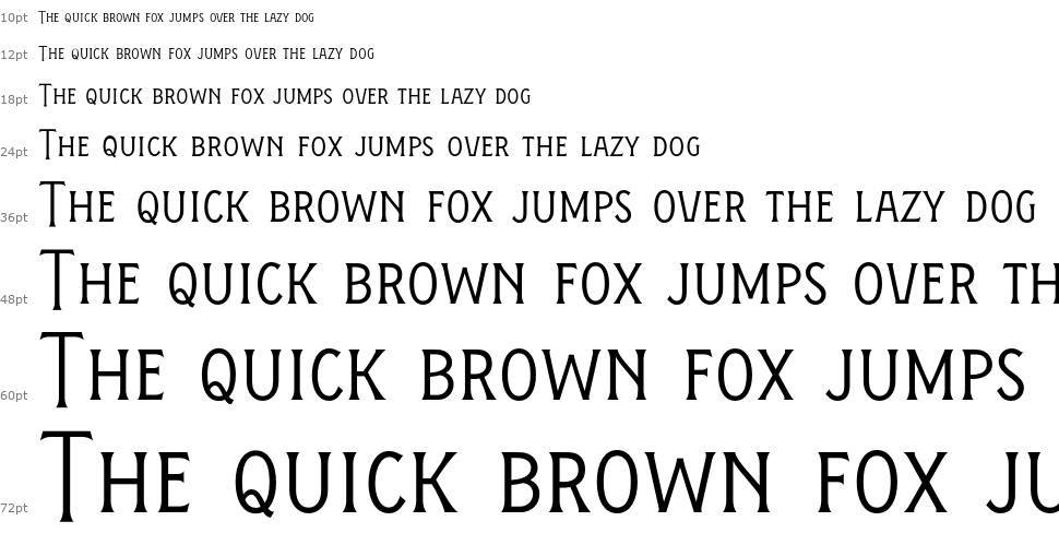 Figuera Variable font Waterfall