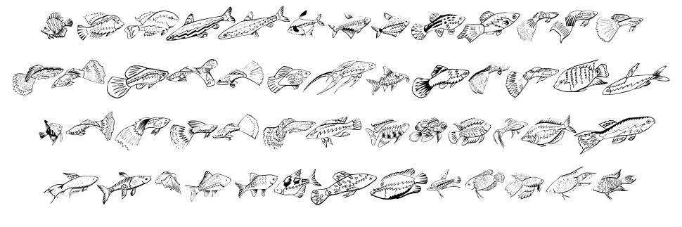 Fishing font specimens