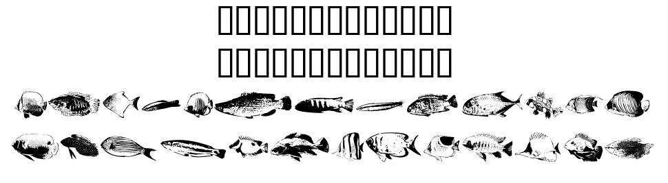 FishyPrint AOE font specimens