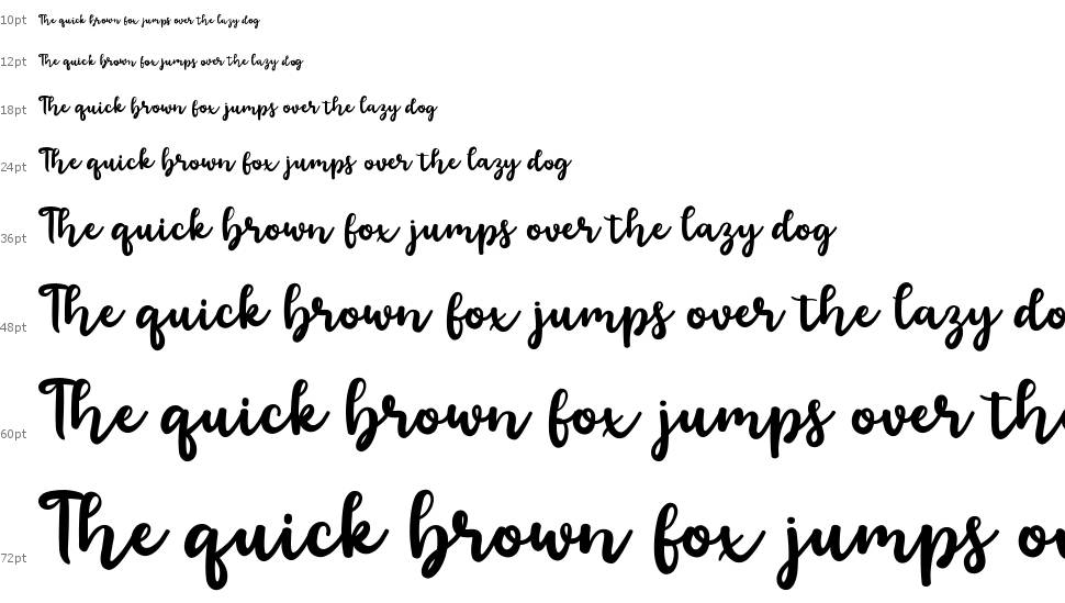 Floristy Script шрифт Водопад