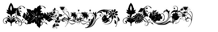 Fotograami Flower font