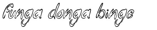 Funga Donga Binge font