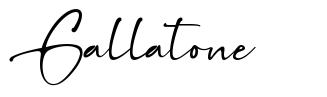 Gallatone 字形