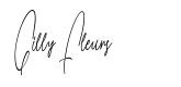 Gilly Fleurs шрифт
