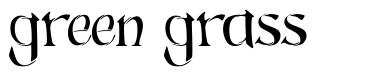 Green Grass font