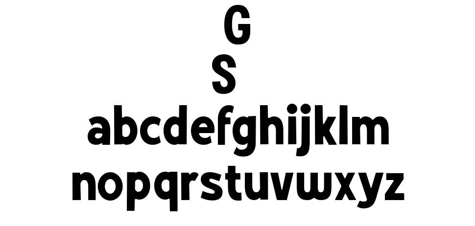 Grotes Sans 字形 标本