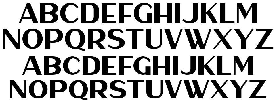 Haarlem Sans 字形 标本