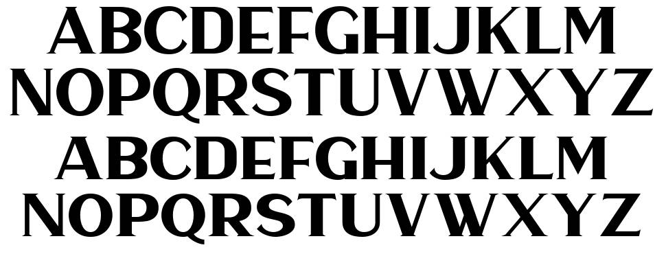 Haarlem Serif 字形 标本