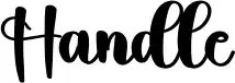 Handle