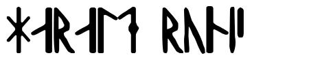 Harald Runic 字形