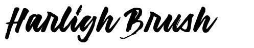 Harligh Brush шрифт
