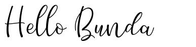 Hello Bunda шрифт